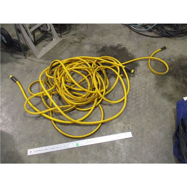 Garden hose (stanley)