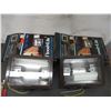 Image 2 : (2) Flood lights (extra bulb)