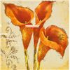 Image 1 : Print on Paper Stefania Ferri