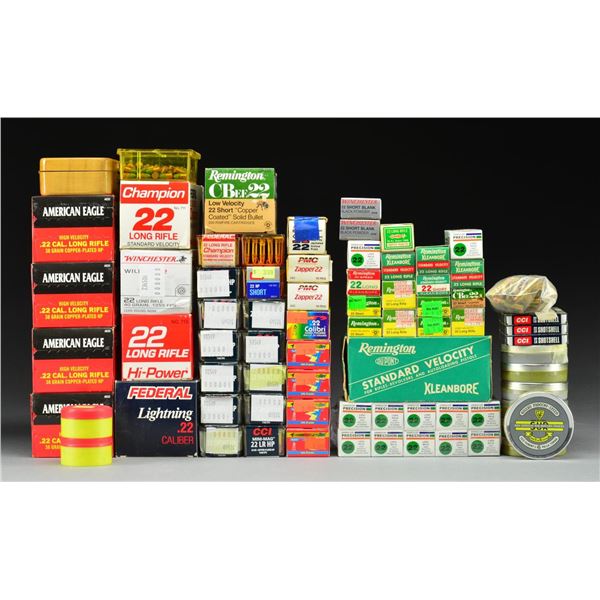 GROUP OF ASSORTED 22 CALIBER & 6MM RIM FIRE.