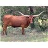 Image 1 : TEXANA SUPER SECRET