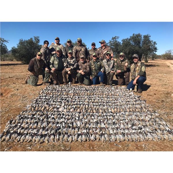 3-Day Dove Hunt for 2 Hunters in Mexico