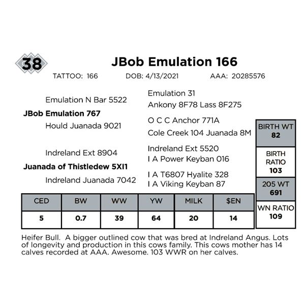 JBob Emulation 166