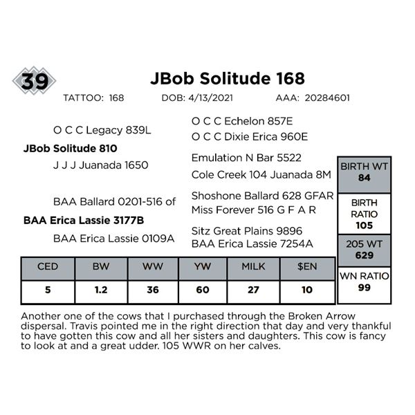 JBob Solitude 168