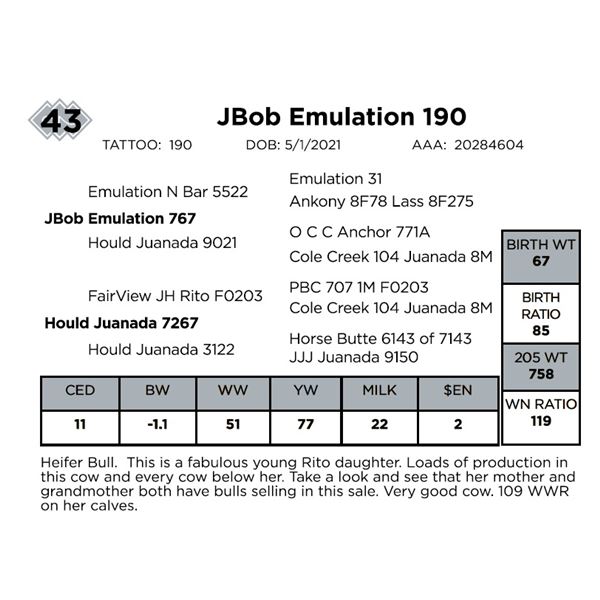 JBob Emulation 190