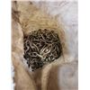 Image 3 : PAIL OF HEAVY DUTY CHAIN AND BAG OF TIRE CHAIN