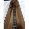 Image 3 : JASMINE ACOUSTIC GUITAR MODEL S35-U