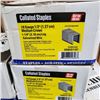 Image 2 : 3 NEW BOXES OF 1-1/4" COLLATED STAPLES