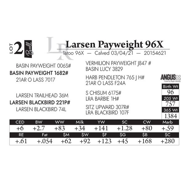 Larsen Payweight 96X