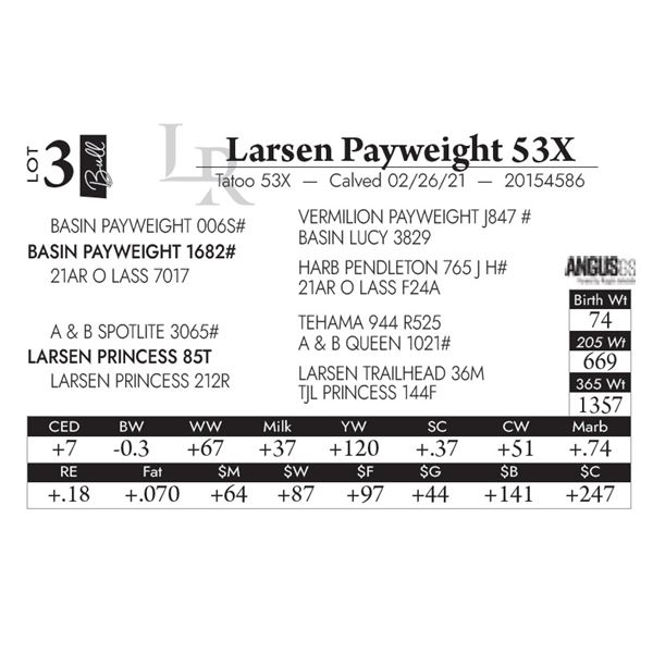 Larsen Payweight 53X