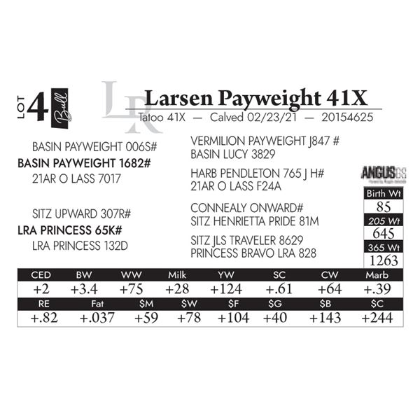 Larsen Payweight 41X