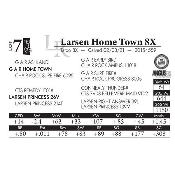 Larsen Home Town 8X