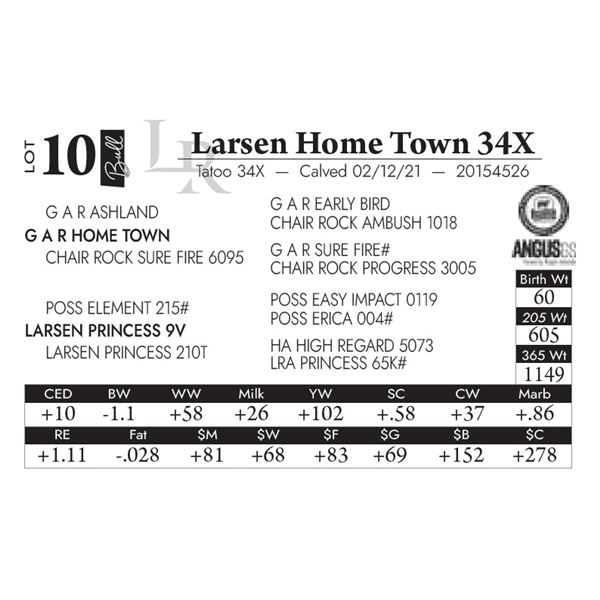 Larsen Home Town 34X