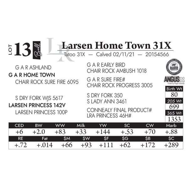 Larsen Home Town 31X