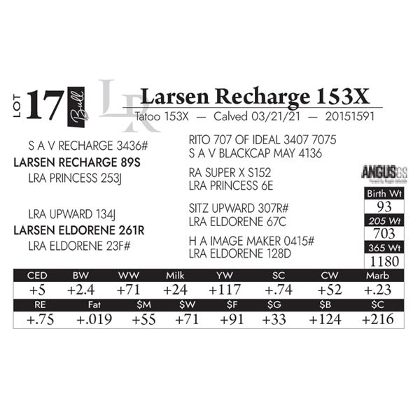 Larsen Recharge 153X