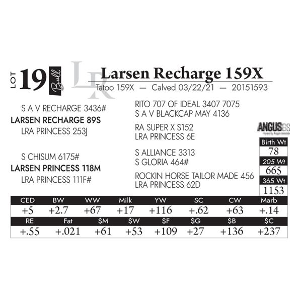 Larsen Recharge 159X