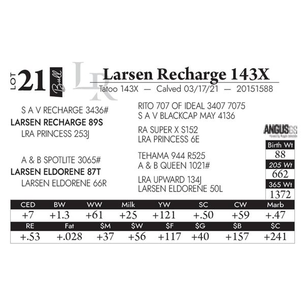 Larsen Recharge 143X