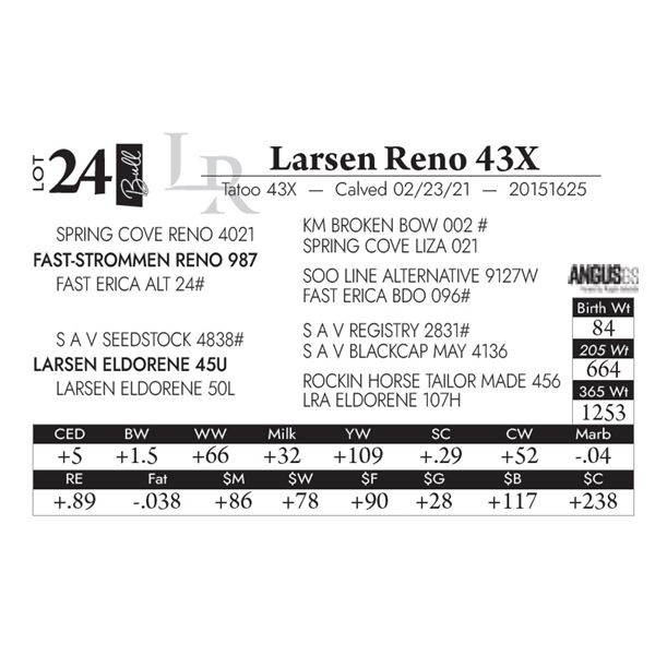 Larsen Reno 43X