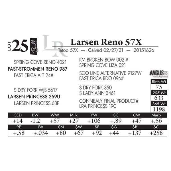 Larsen Reno 57X