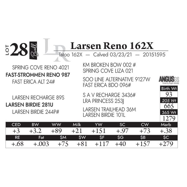 Larsen Reno 162X