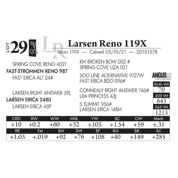 Larsen Reno 119X