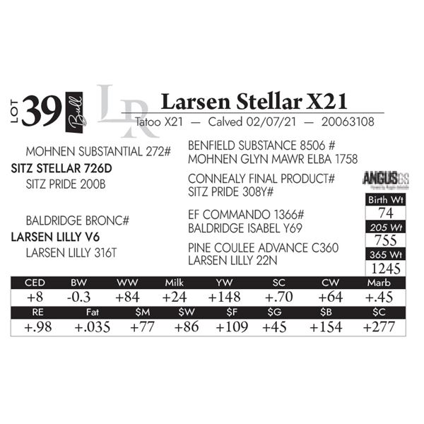 Larsen Stellar X21