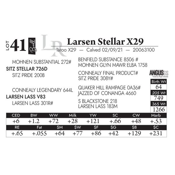 Larsen Stellar X29