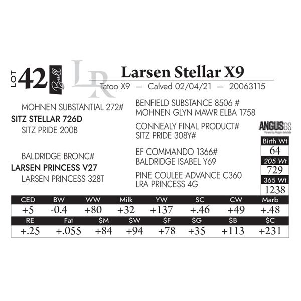 Larsen Stellar X9