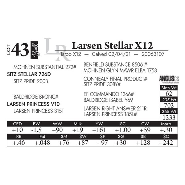 Larsen Stellar X12