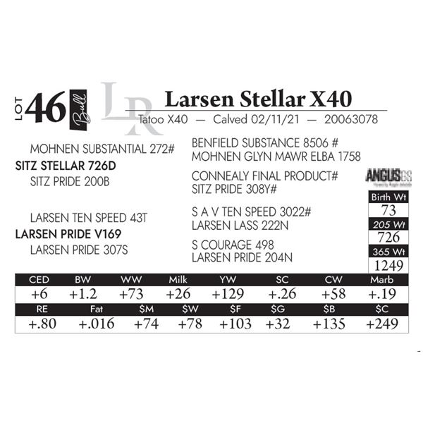 Larsen Stellar X40