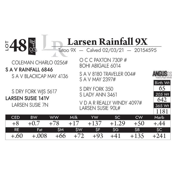 Larsen Rainfall 9X