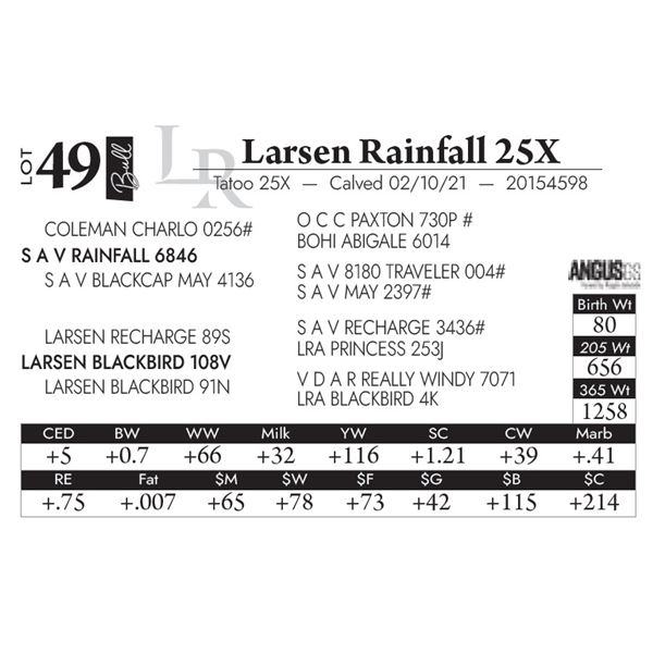 Larsen Rainfall 25X