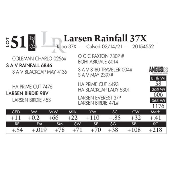 Larsen Rainfall 37X