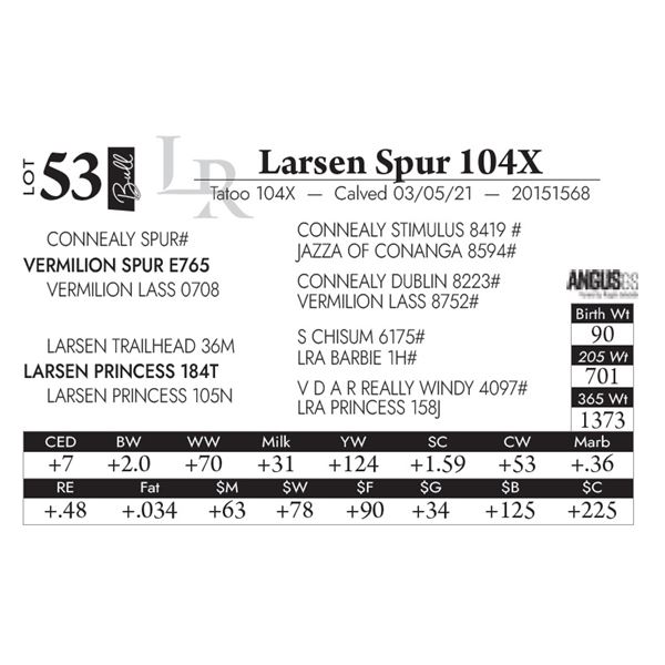 Larsen Spur 104X