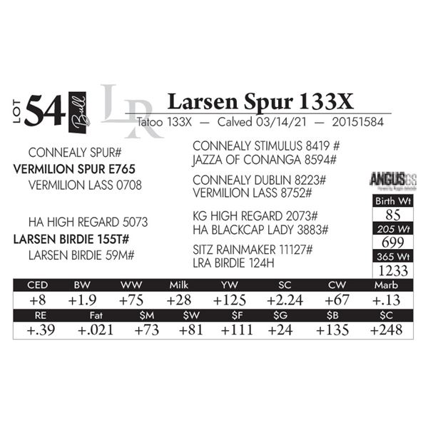 Larsen Spur 133X