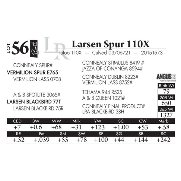 Larsen Spur 110X