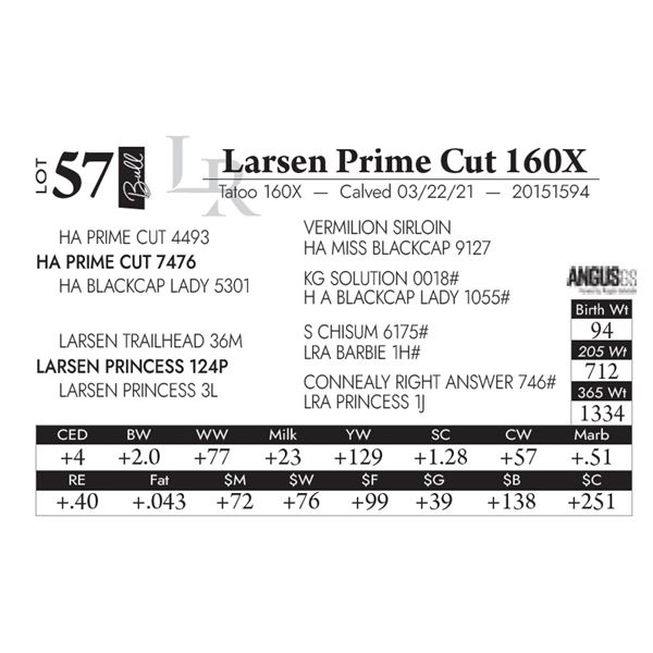 Larsen Prime Cut 160X