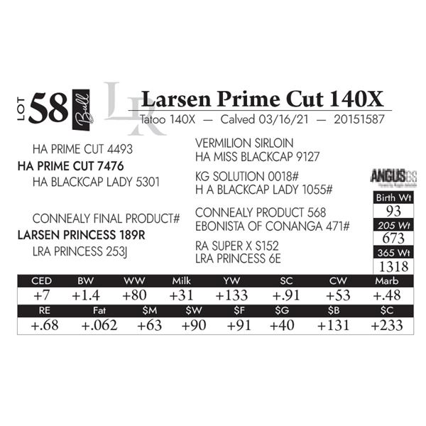 Larsen Prime Cut 140X