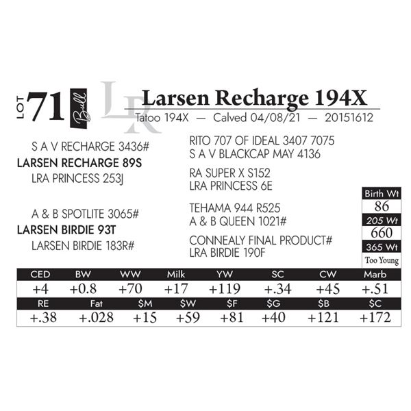 Larsen Recharge 194X