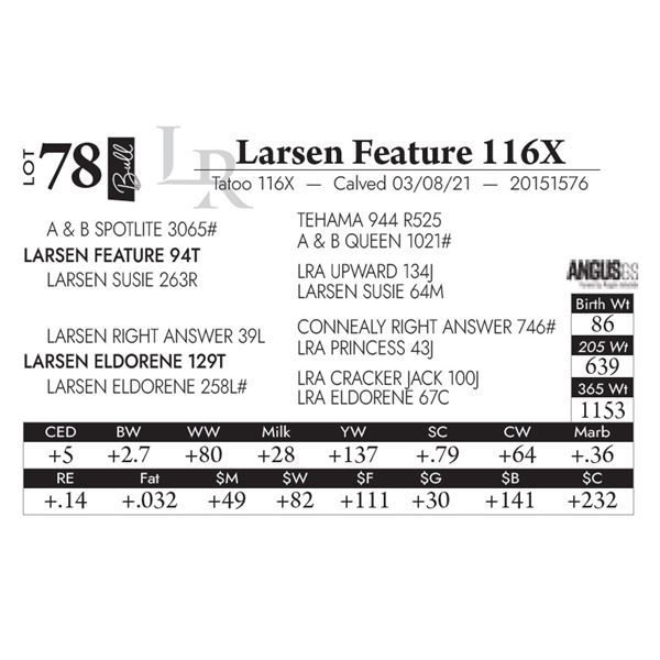 Larsen Feature 116X
