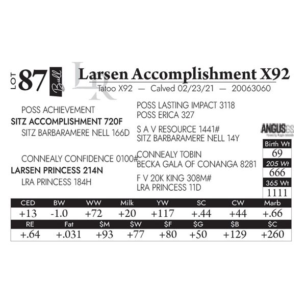 Larsen Accomplishment X92