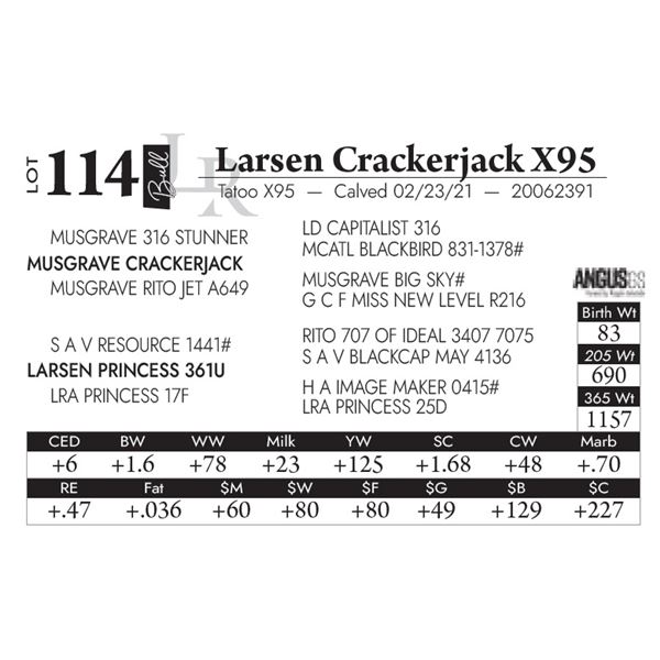 Larsen Crackerjack X95