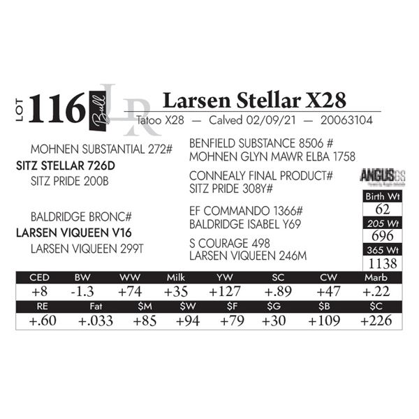 Larsen Stellar X28