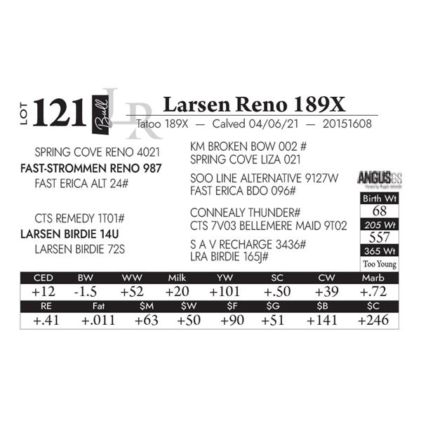 Larsen Reno 189X