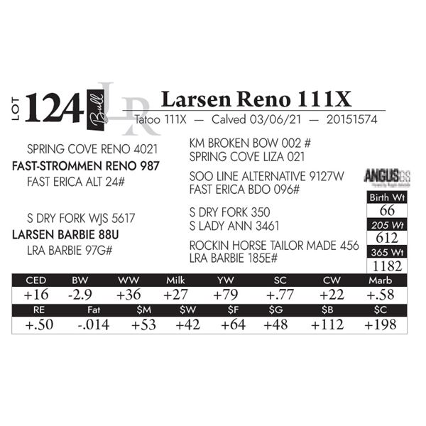 Larsen Reno 111X