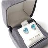 Image 4 : BZ844-79  SILVER BLUE TOPAZ(1.2CT) EARRINGS