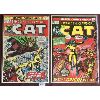 Image 1 : LOT OF 2 - MARVEL COMIC BOOKS - THE CAT #1 & 2