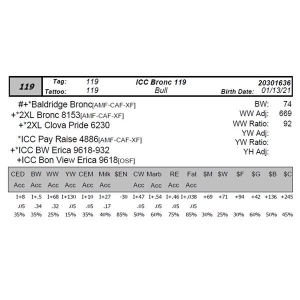 ICC Bronc 119