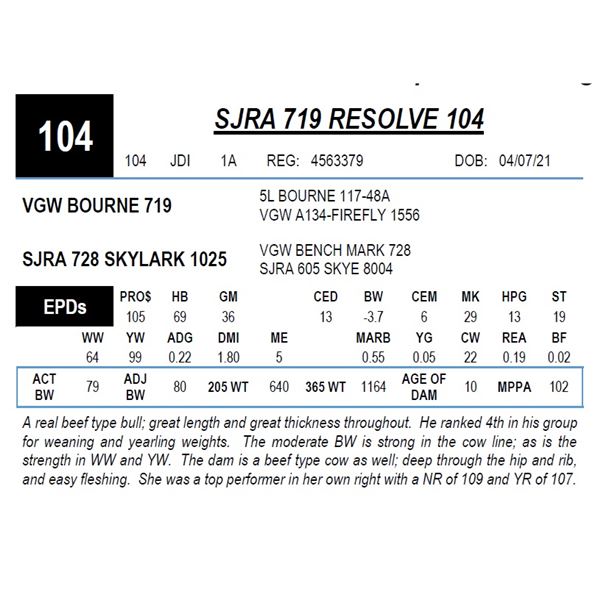 SJRA 719 RESOLVE 104