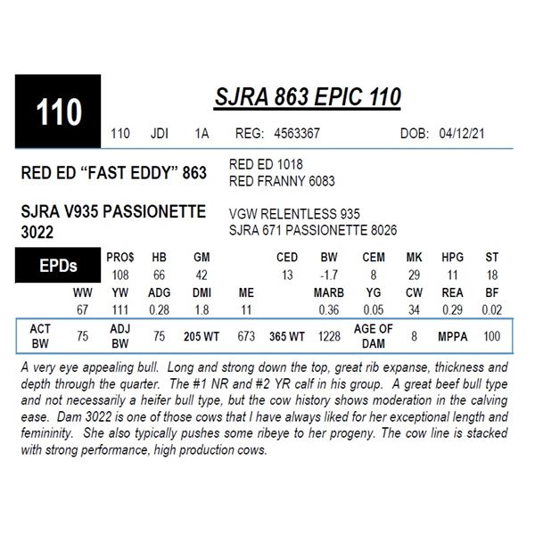 SJRA 863 EPIC 110